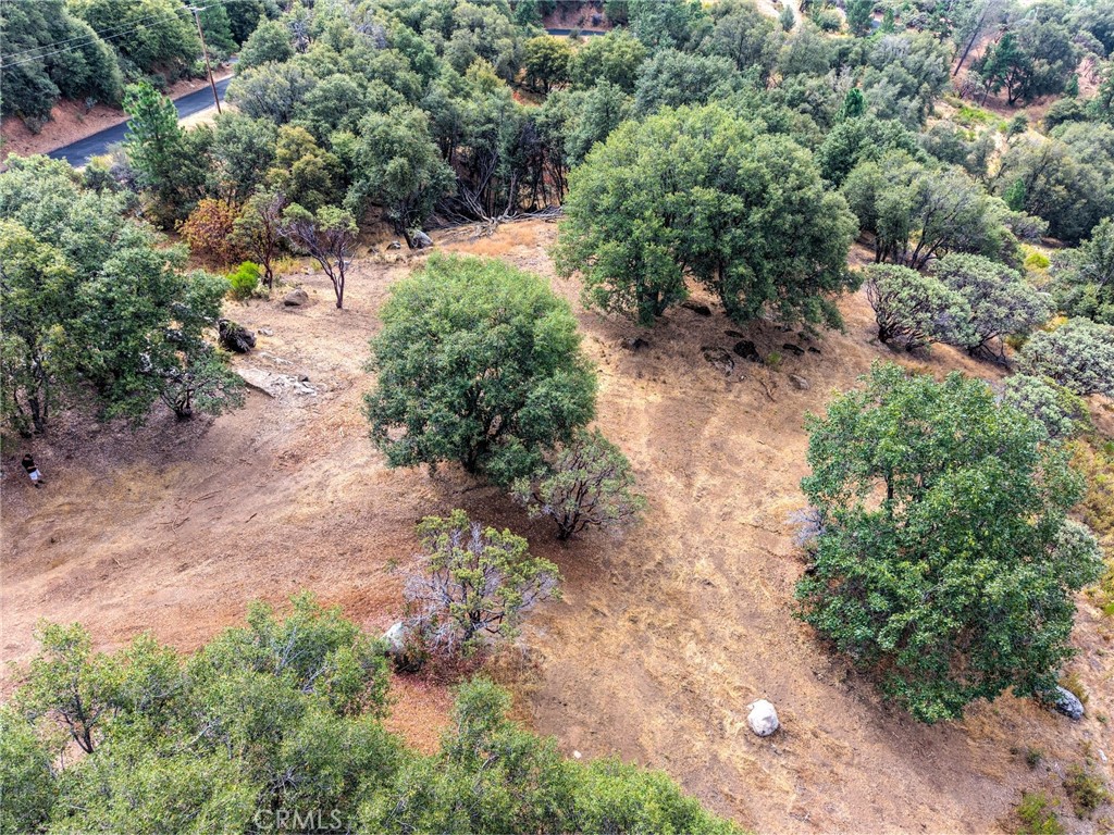 1539001 Vista Lago, Mariposa, CA 95338