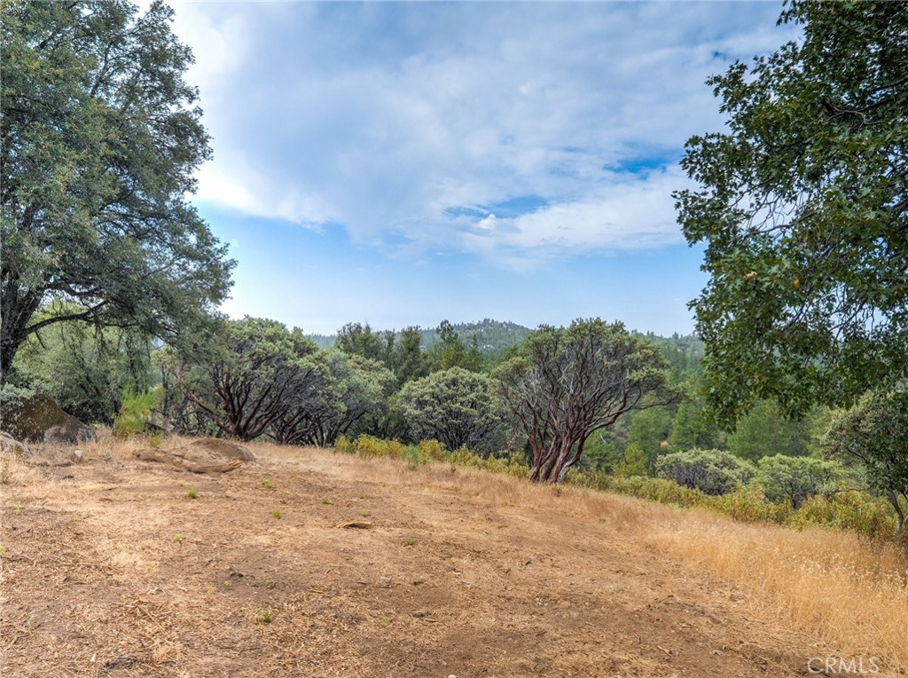 1539001 Vista Lago, Mariposa, CA 95338