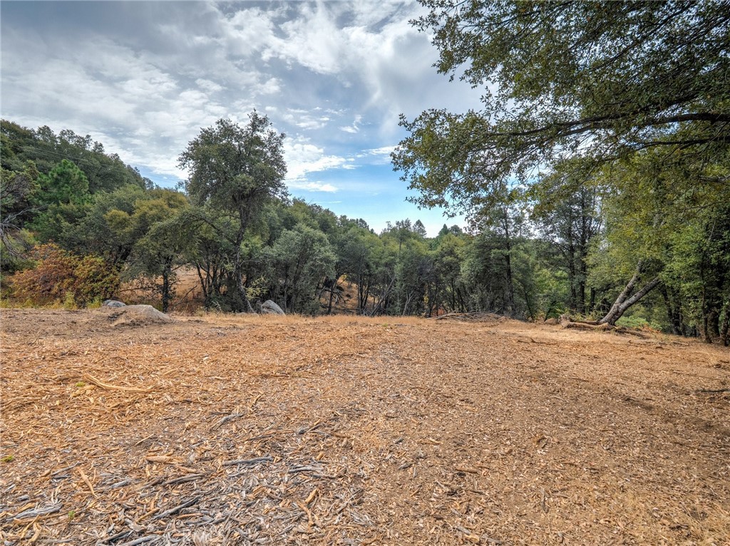 1539001 Vista Lago, Mariposa, CA 95338