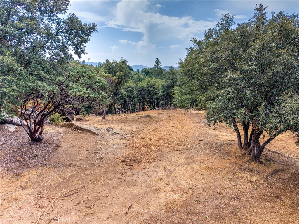 1539001 Vista Lago, Mariposa, CA 95338