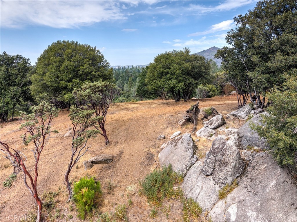 1539001 Vista Lago, Mariposa, CA 95338