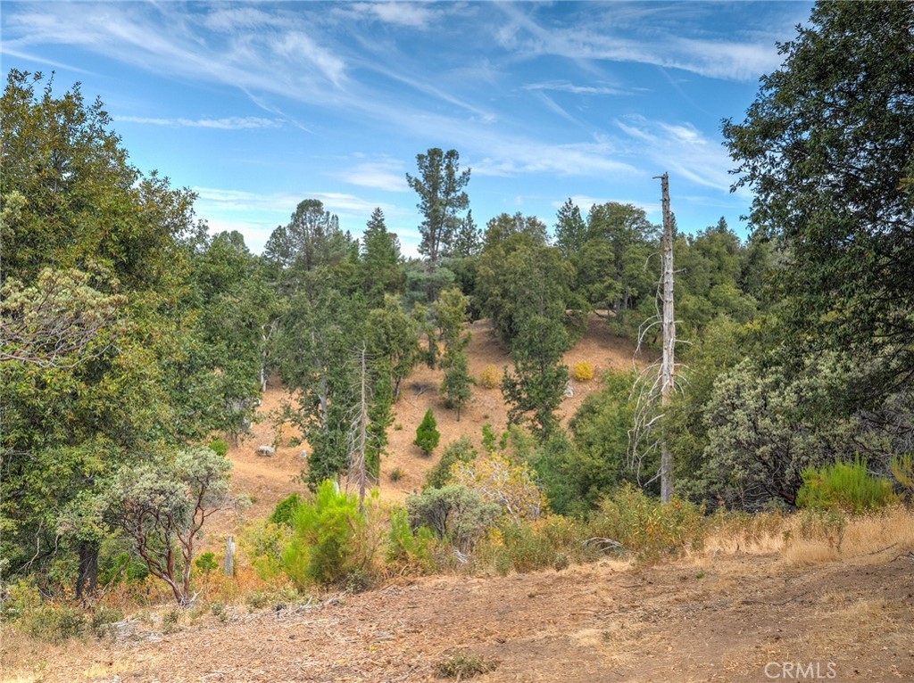1539001 Vista Lago, Mariposa, CA 95338
