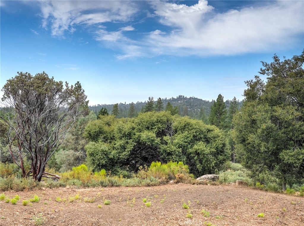 1539001 Vista Lago, Mariposa, CA 95338