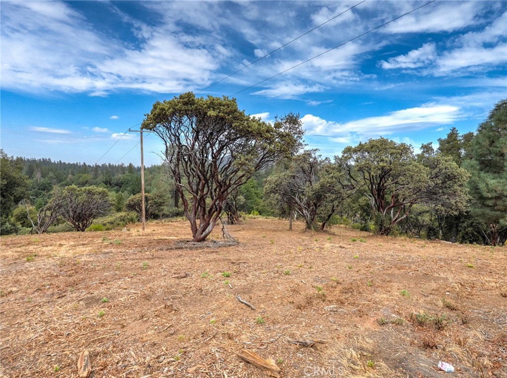 1539001 Vista Lago, Mariposa, CA 95338