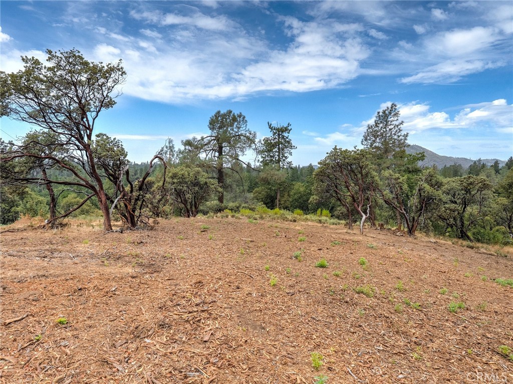 1539001 Vista Lago, Mariposa, CA 95338