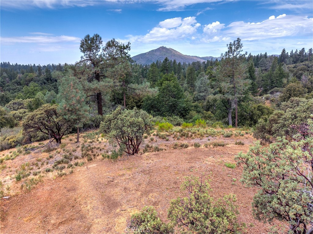 1539001 Vista Lago, Mariposa, CA 95338