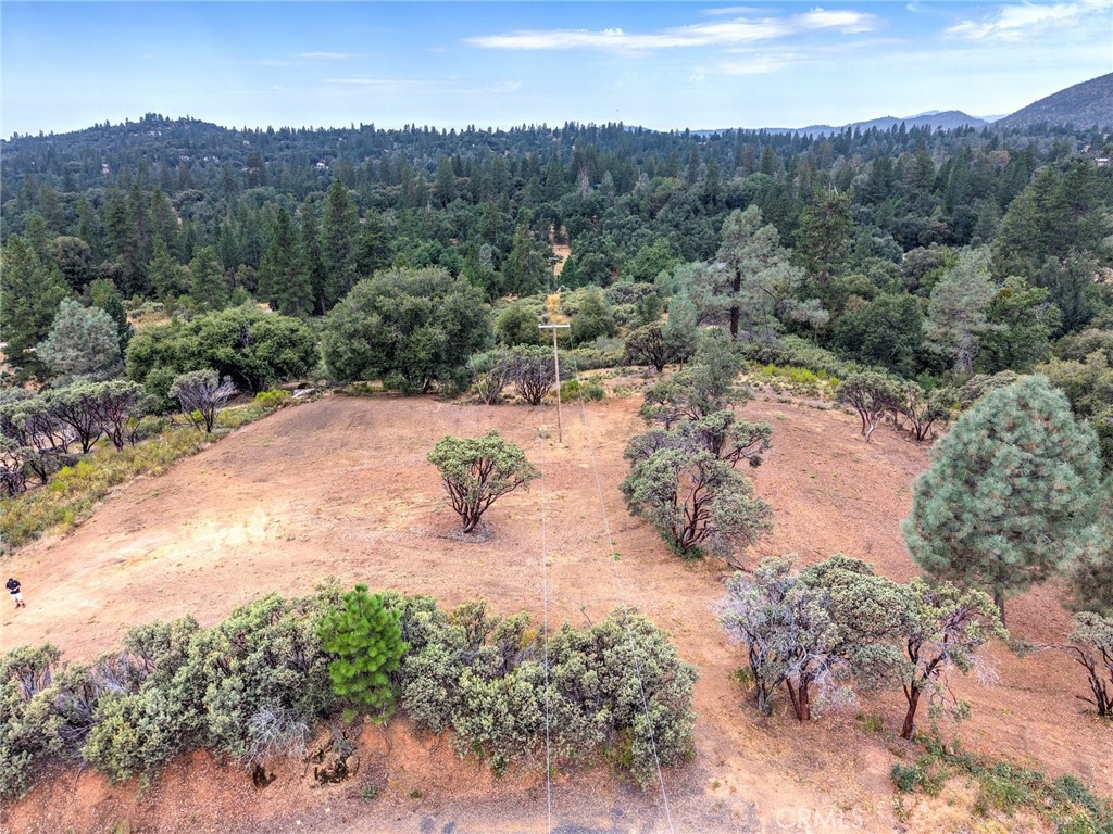 1539001 Vista Lago, Mariposa, CA 95338