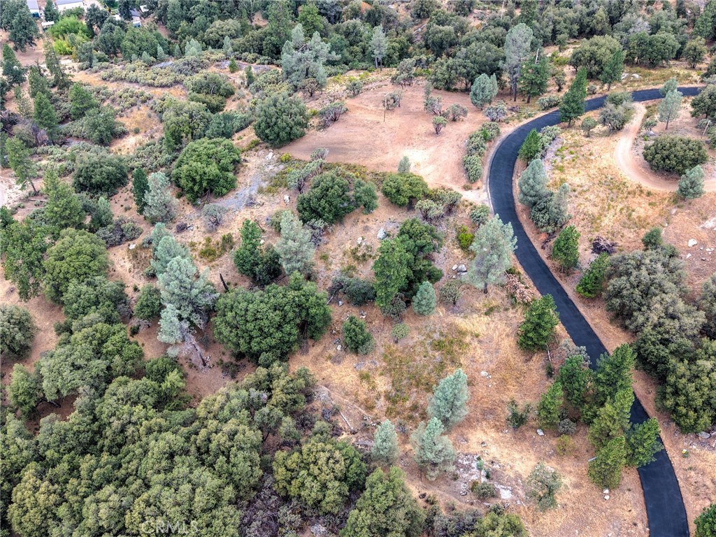 1539001 Vista Lago, Mariposa, CA 95338