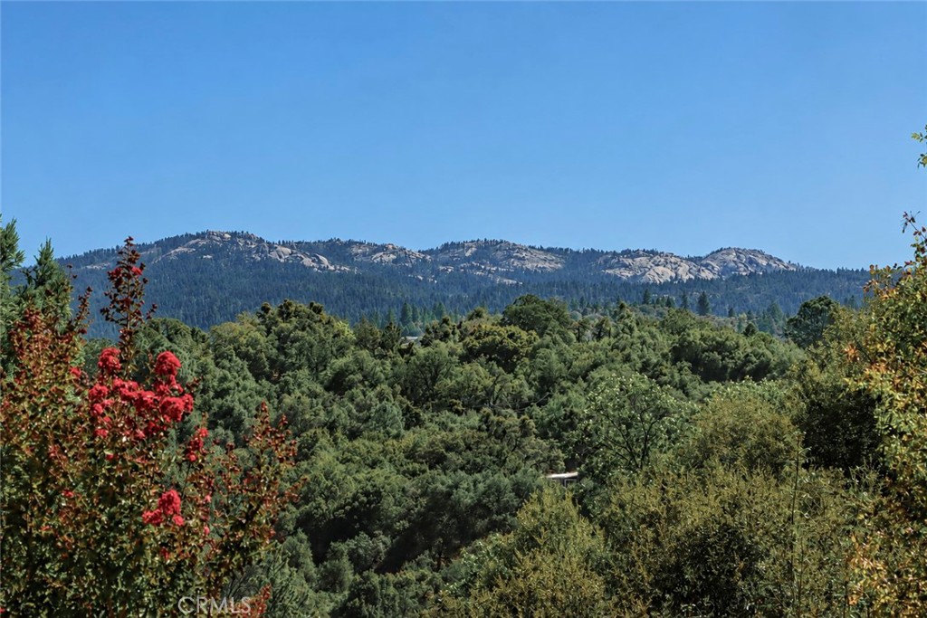 38393 Crestview Ln, Oakhurst, CA 93644