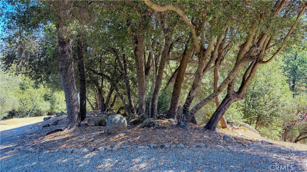 38393 Crestview Ln, Oakhurst, CA 93644