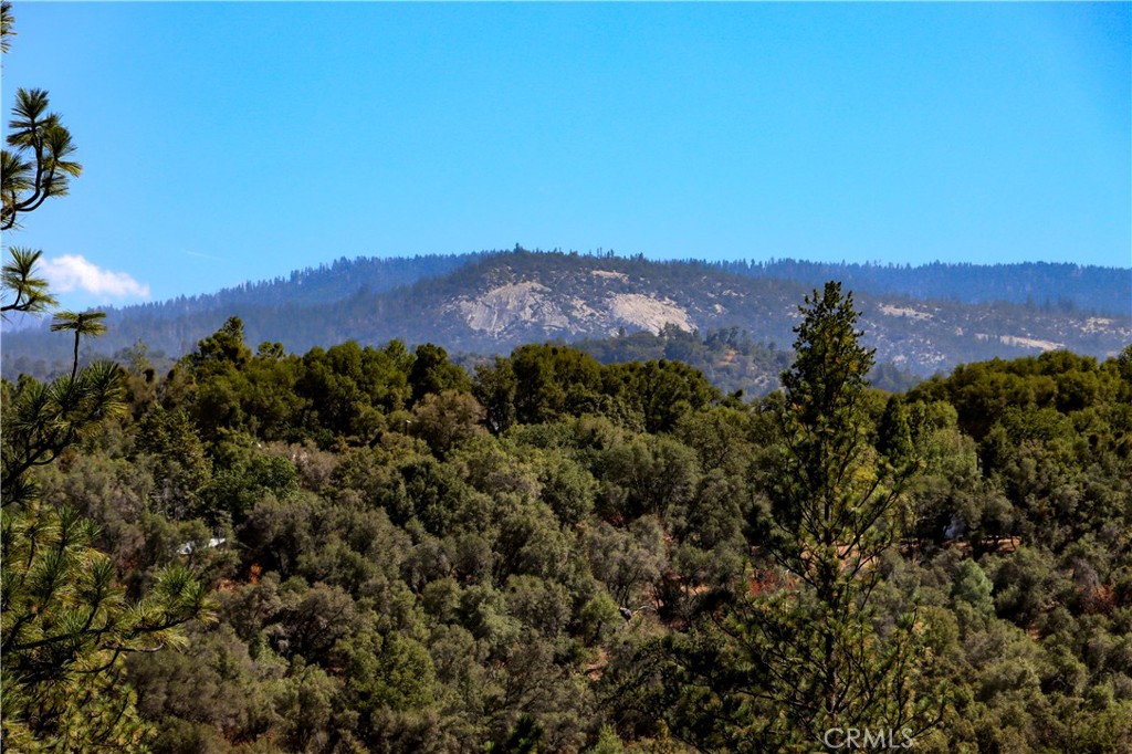 38393 Crestview Ln, Oakhurst, CA 93644