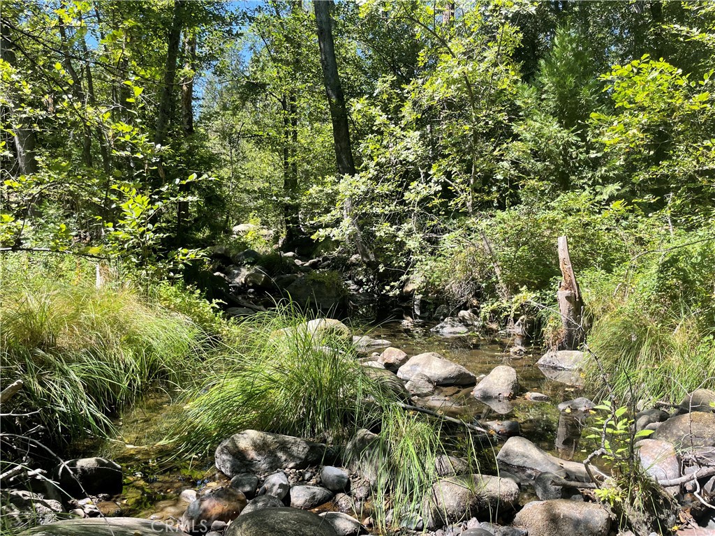 5601 Red Ibis Ct, Mariposa, CA 95338