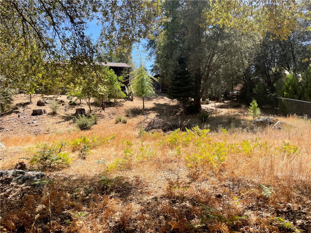 5601 Red Ibis Ct, Mariposa, CA 95338