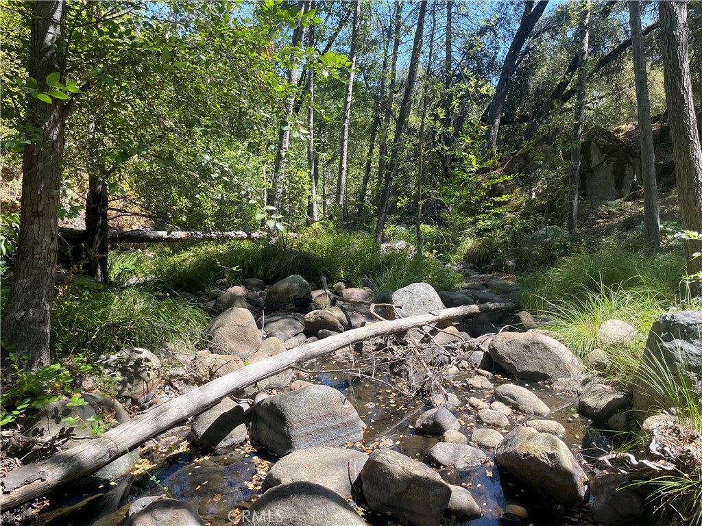 5601 Red Ibis Ct, Mariposa, CA 95338