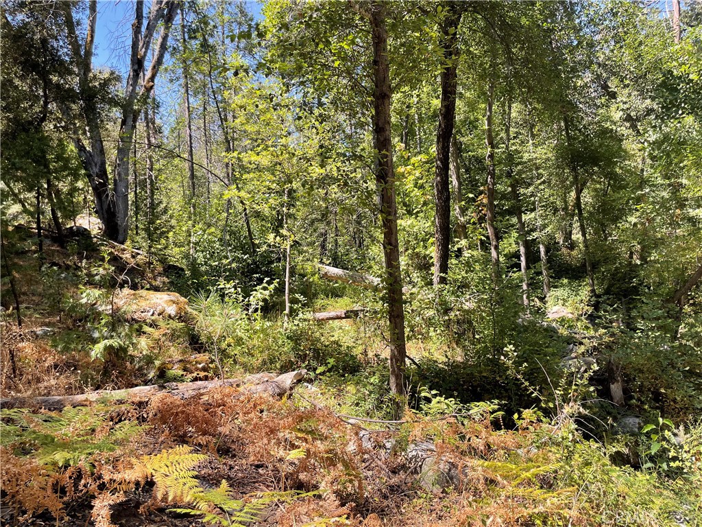 5601 Red Ibis Ct, Mariposa, CA 95338