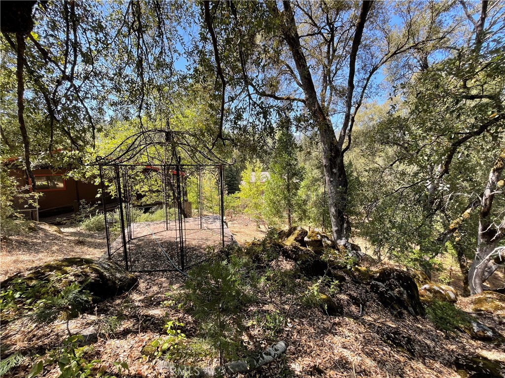 5601 Red Ibis Ct, Mariposa, CA 95338