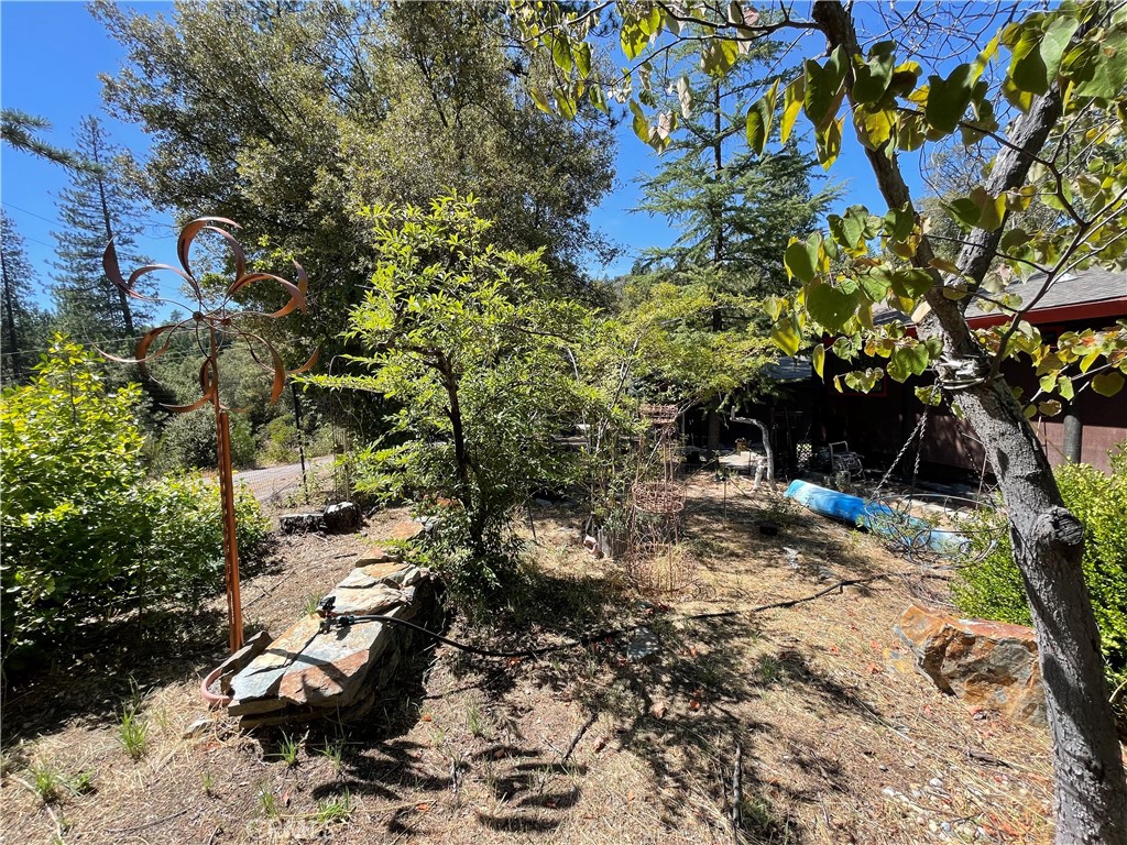 5601 Red Ibis Ct, Mariposa, CA 95338