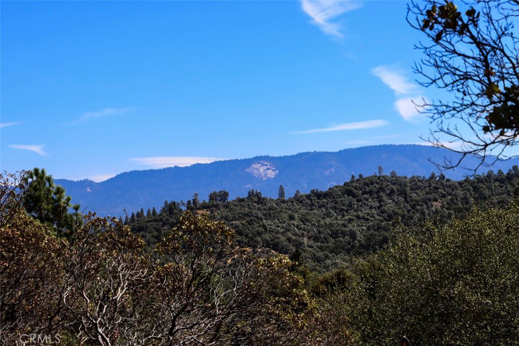 1956 Wild Horse, Mariposa, CA 95338