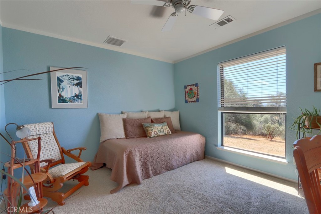 1956 Wild Horse, Mariposa, CA 95338