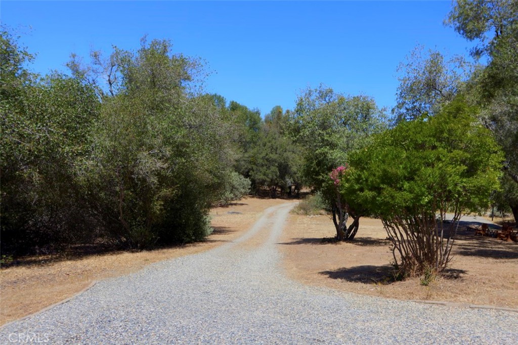 1956 Wild Horse, Mariposa, CA 95338