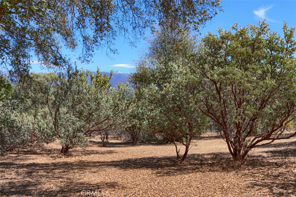 1956 Wild Horse, Mariposa, CA 95338