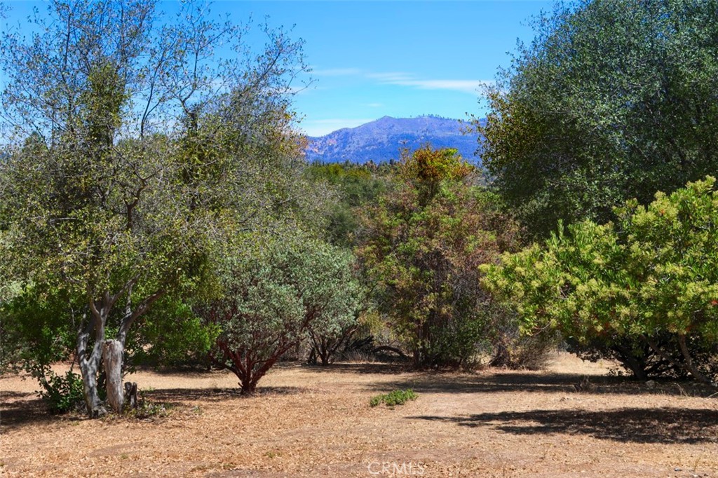 1956 Wild Horse, Mariposa, CA 95338