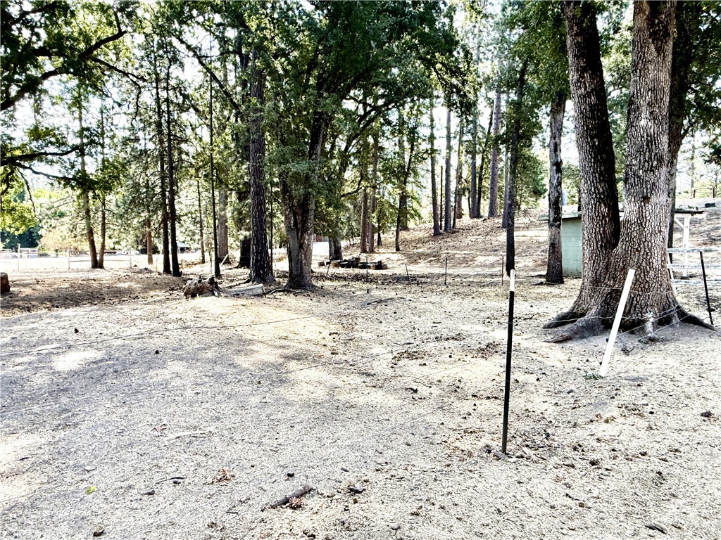5919 Evergreen, Mariposa, CA 95338