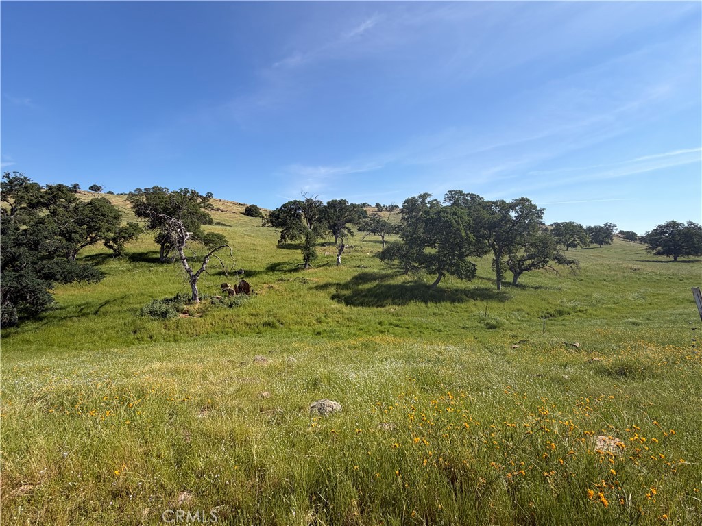 1991 Ca-140, Catheys Valley, CA 95306