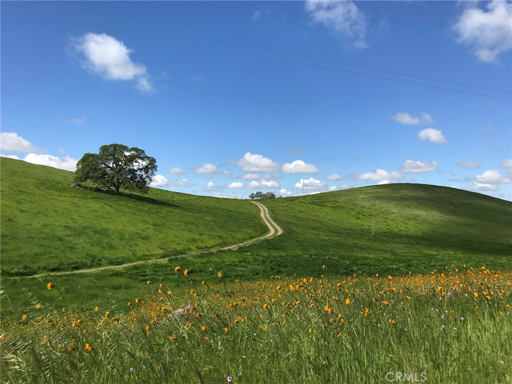 1991 Ca-140, Catheys Valley, CA 95306