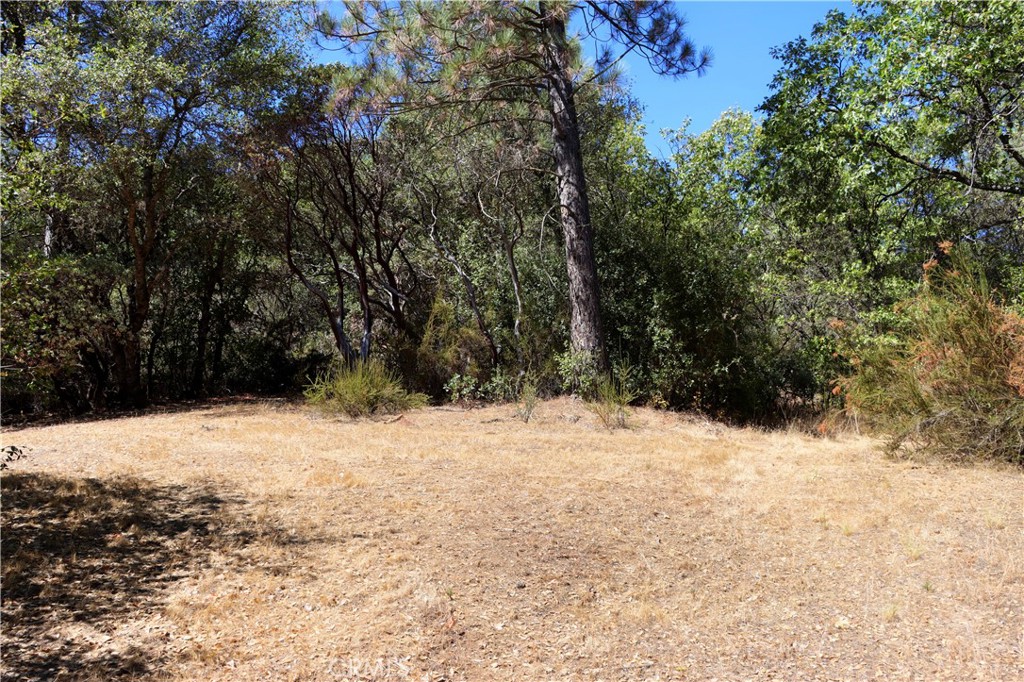 163 Oak Rd, Midpines, CA 95338