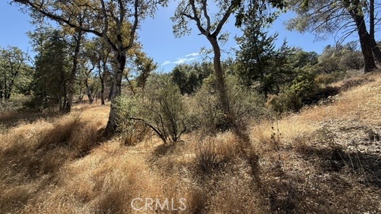 163 Oak Rd, Midpines, CA 95338