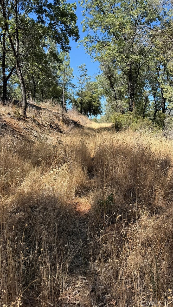 163 Oak Rd, Midpines, CA 95338