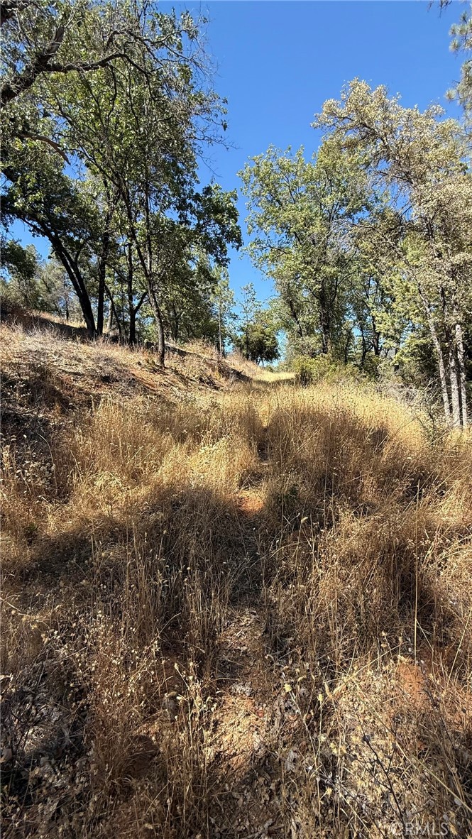 163 Oak Rd, Midpines, CA 95338