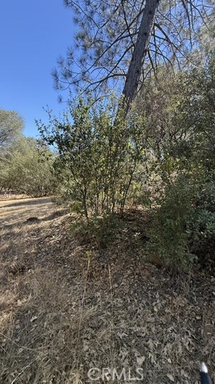 163 Oak Rd, Midpines, CA 95338
