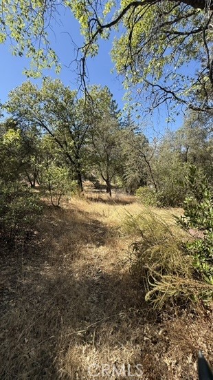 163 Oak Rd, Midpines, CA 95338