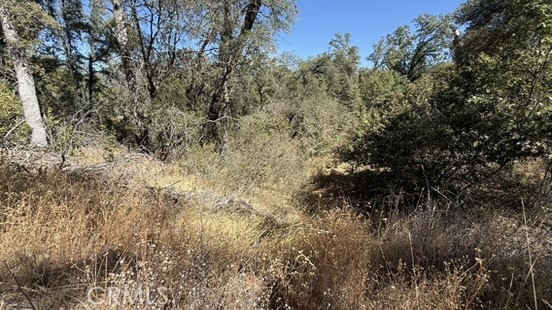 163 Oak Rd, Midpines, CA 95338