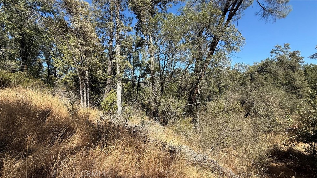 163 Oak Rd, Midpines, CA 95338