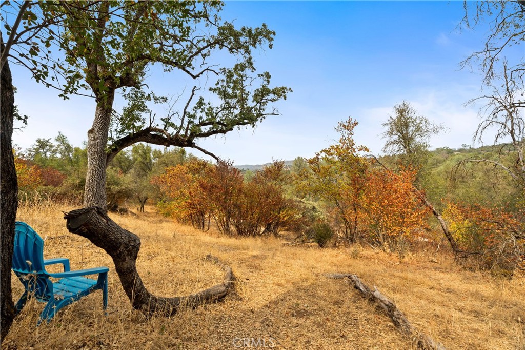 4853 Daffodil Dr, Mariposa, CA 95338