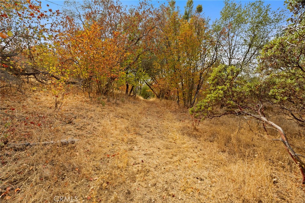 4853 Daffodil Dr, Mariposa, CA 95338