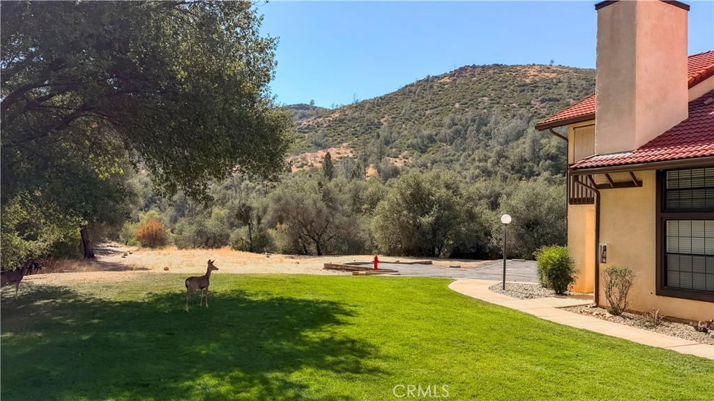 5303 State Highway 49N, #24, Mariposa, CA 95338