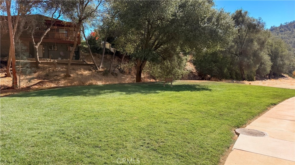 5303 State Highway 49N, #24, Mariposa, CA 95338