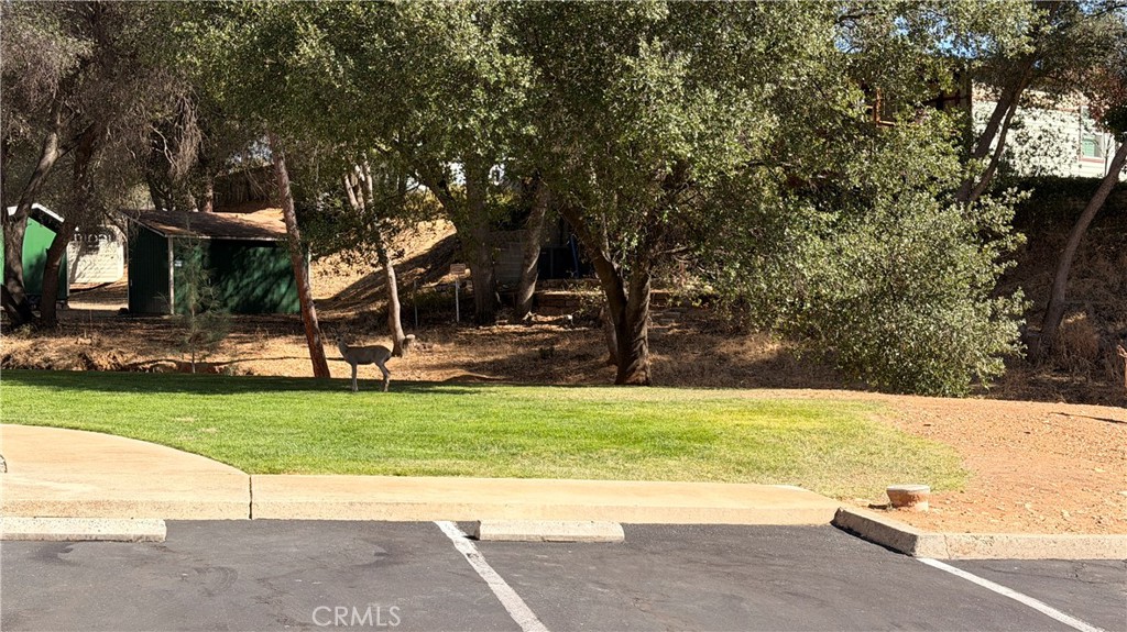 5303 State Highway 49N, #24, Mariposa, CA 95338