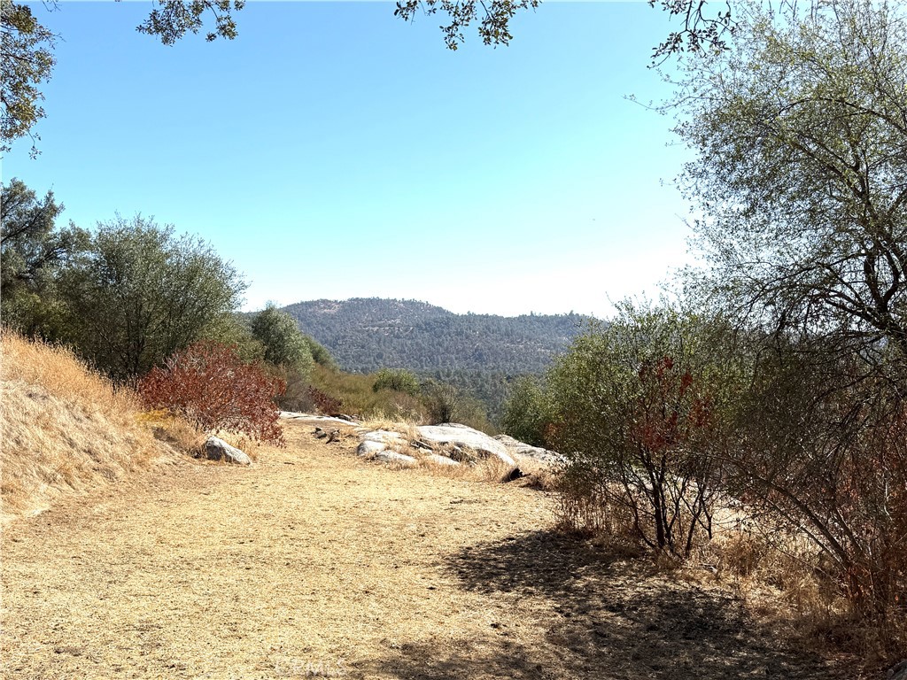 4766 Little Bear, Mariposa, CA 95338