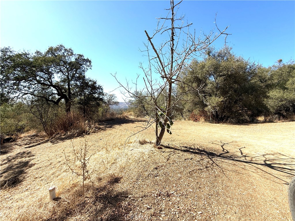 4766 Little Bear, Mariposa, CA 95338