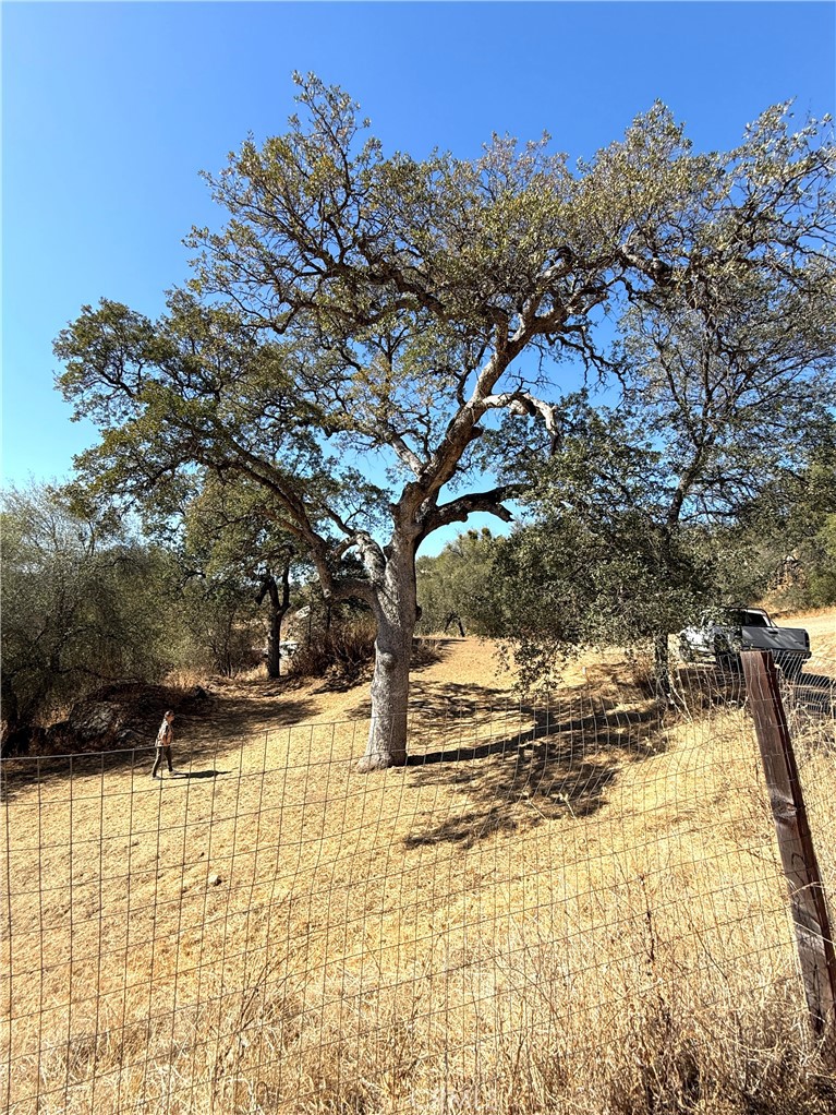 4766 Little Bear, Mariposa, CA 95338