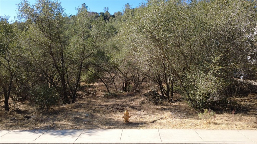 5155 Antone, Mariposa, CA 95338