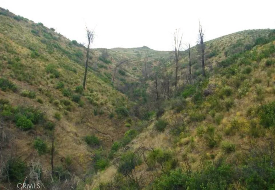 18524 Bartlett Springs Rd, Lucerne, CA 95458