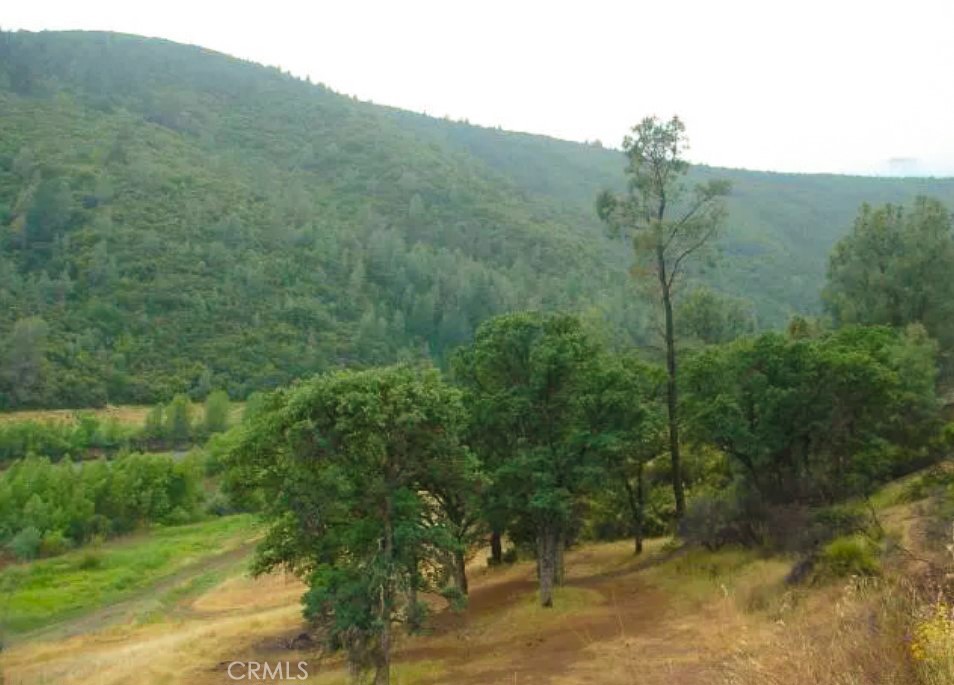 18524 Bartlett Springs Rd, Lucerne, CA 95458