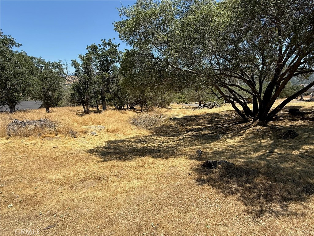 1 Wild Horse Way, Coarsegold, CA 93614