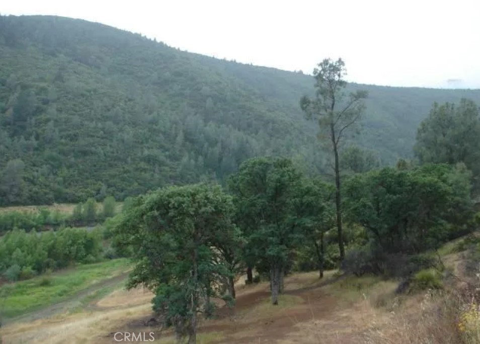 18524 Bartlett Springs Rd, Lucerne, CA 95458